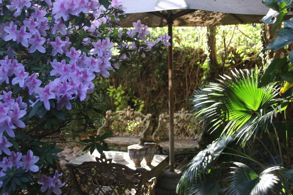 올리보스 La Casona De Grace B&B 외부 사진