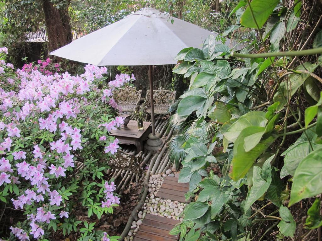 올리보스 La Casona De Grace B&B 외부 사진